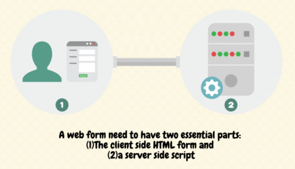A web form has two parts: client side HTML and server side script